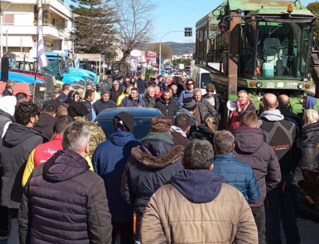 agrotes_arta