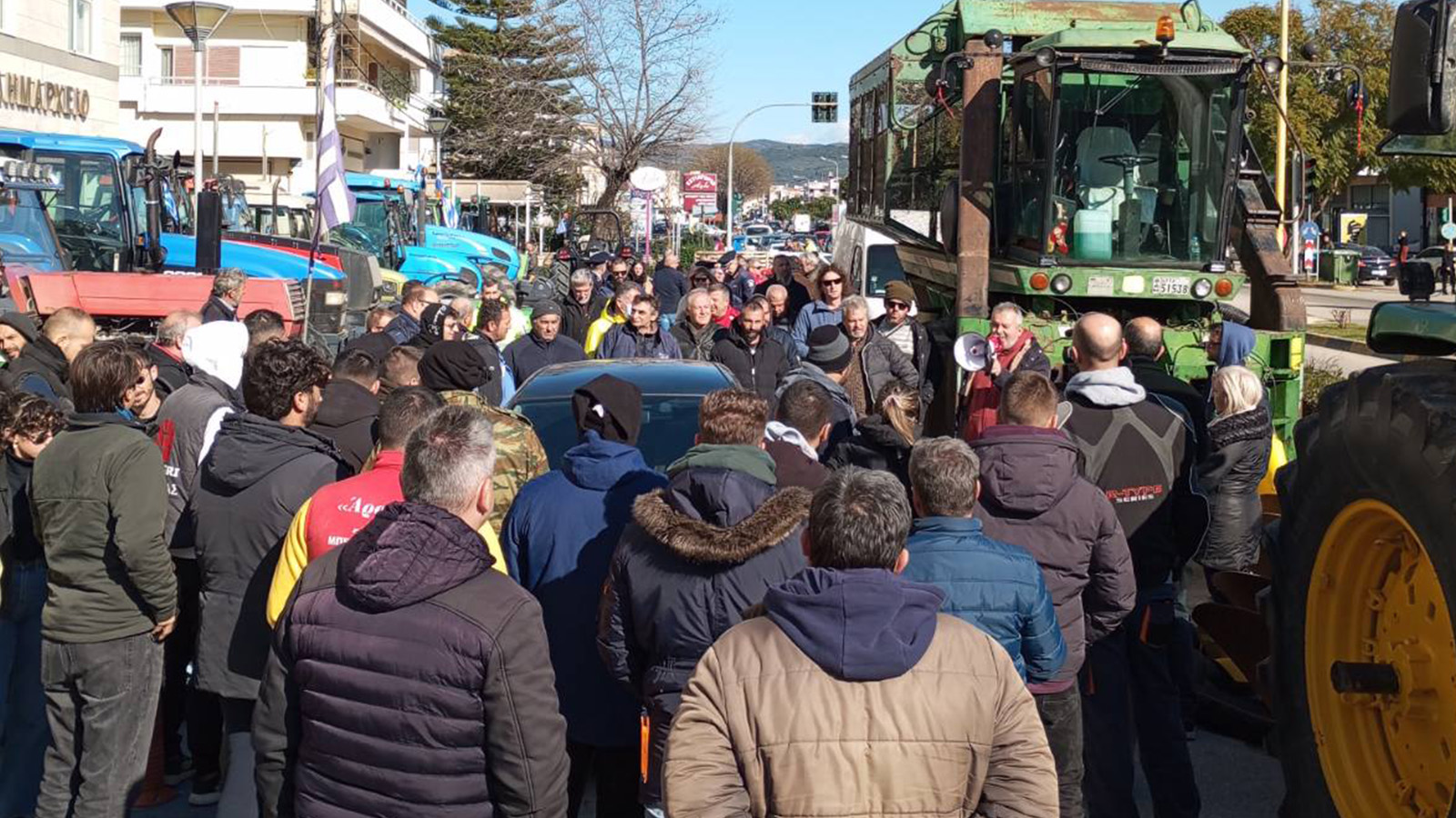 agrotes_arta