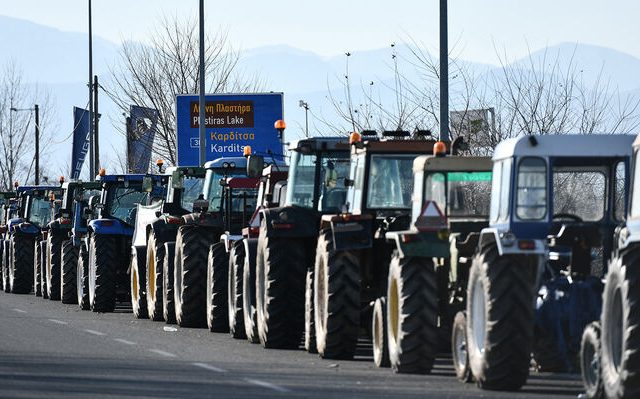 agrotes_karditsa