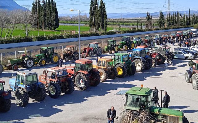 agrotes_lamia-08
