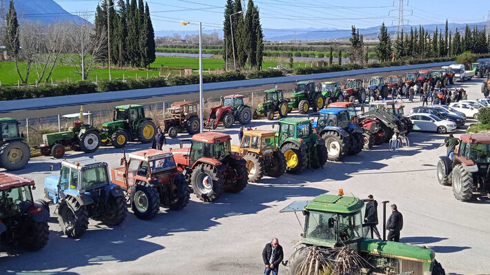 agrotes_lamia-08