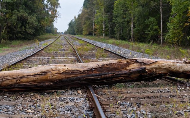 fallen_tree_train_tracks