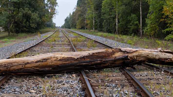 fallen_tree_train_tracks