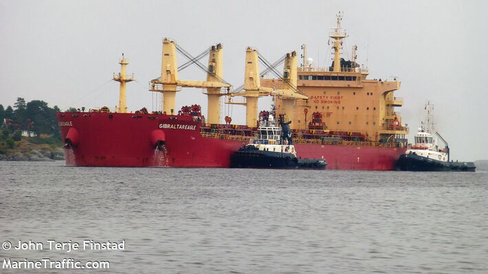 gibraltar_eagle