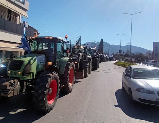 patra_agrotes-06