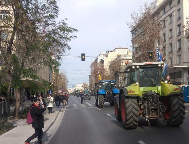 agrotes-04