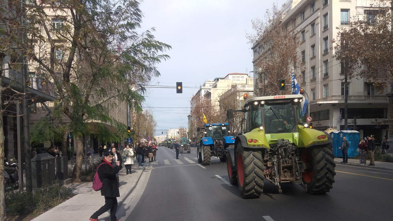 agrotes-04