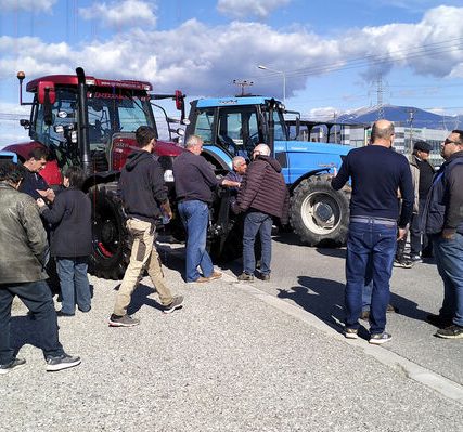 agrotes_agrinio-04