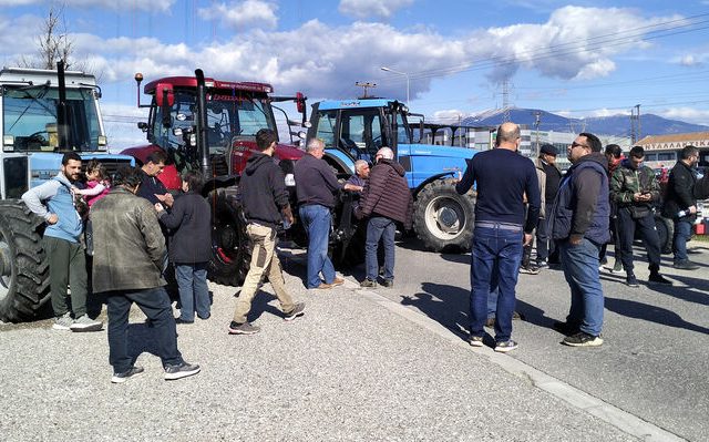 agrotes_agrinio-04