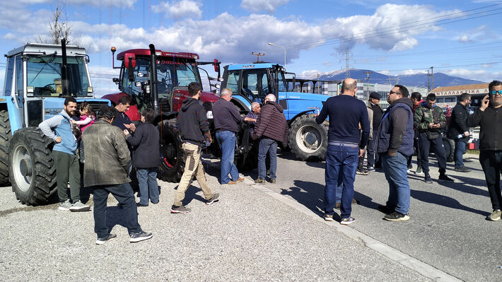 agrotes_agrinio-04