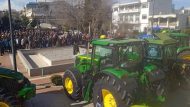 agrotes_farsala