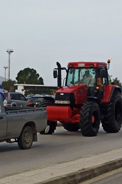 agrotes_igoymenitsa-07