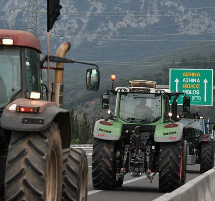 agrotes_lamia-03
