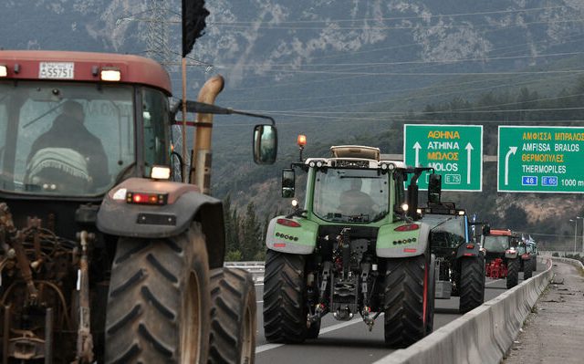 agrotes_lamia-03