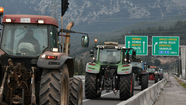 agrotes_lamia-03