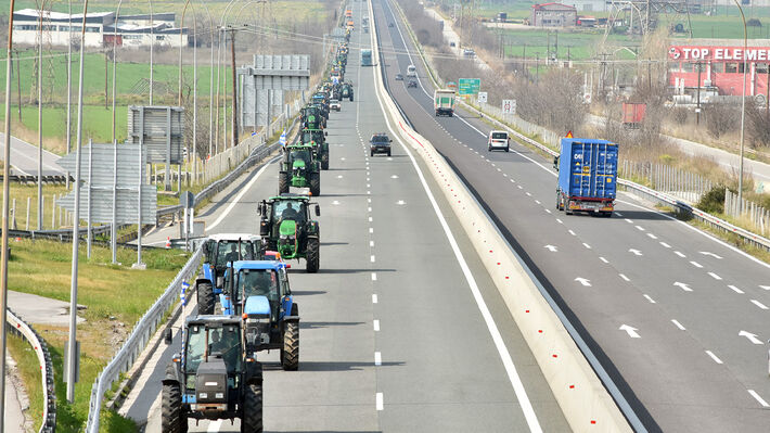 agrotes_ritsona_11