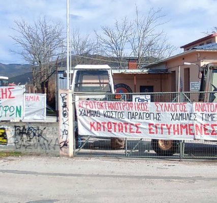 agrotes_thessaloniki-02