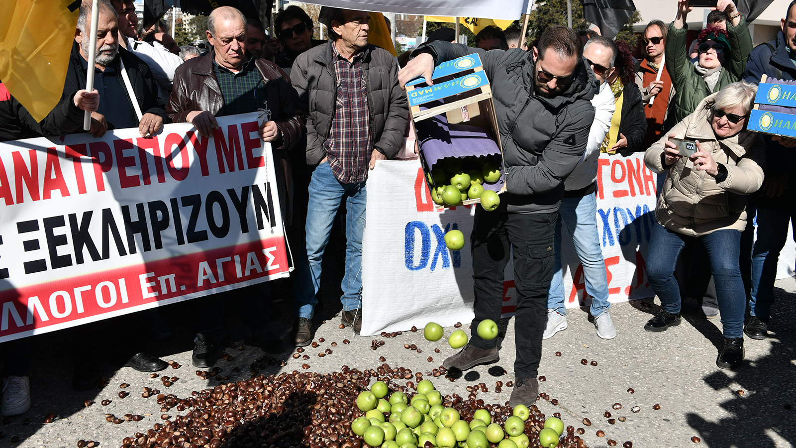 agrotes_thessaloniki-12