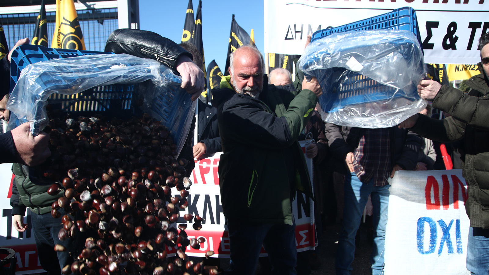 agrotes_thessaloniki-kastana