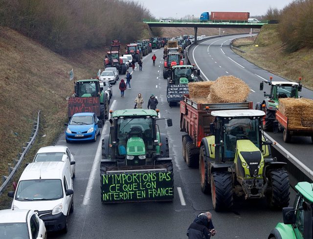 farmers_252863_435350_type13262
