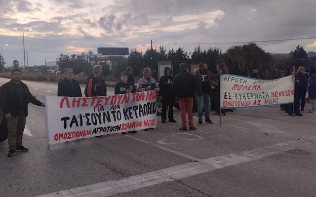 hleia_agrotes_01