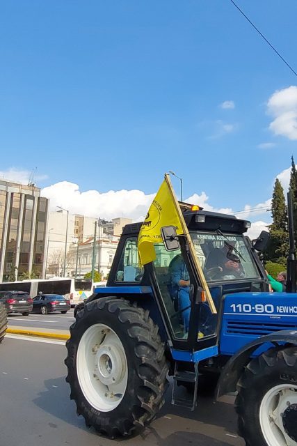 sintagma_agrotes_02