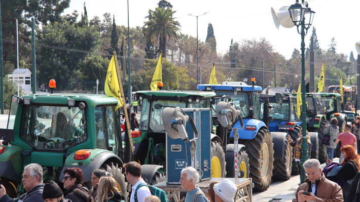 sintagma_agrotes_05