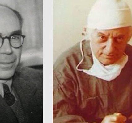 aylamis_kokalis