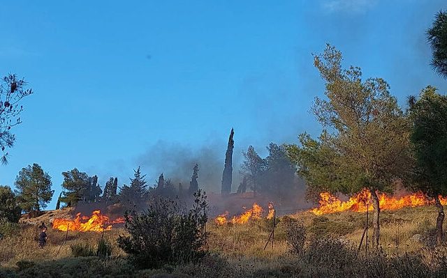 IMG_0463