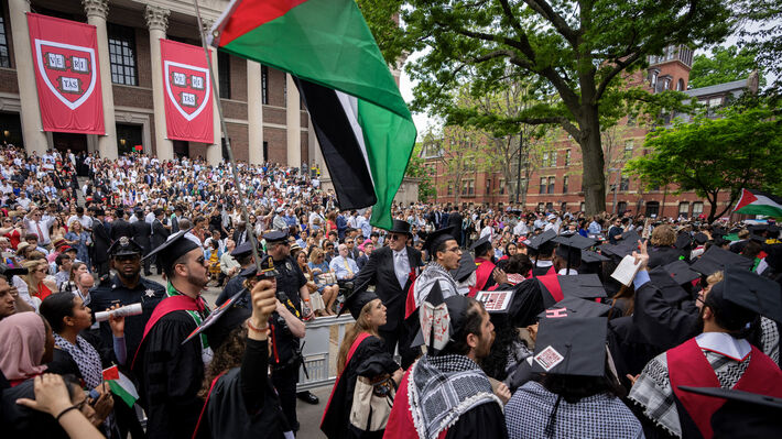 harvard_palestinian_flags