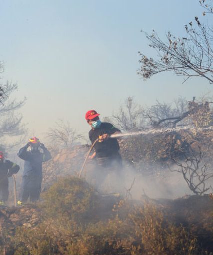 ΦΩΤΙΑ ΣΤΟΝ ΕΛΑΙΩΝΑ ΤΗΣ ΜΟΡΙΑΣ