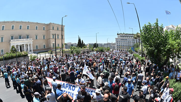 larko_rizo_protoselido