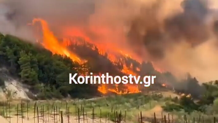 fotia_korinthos_2