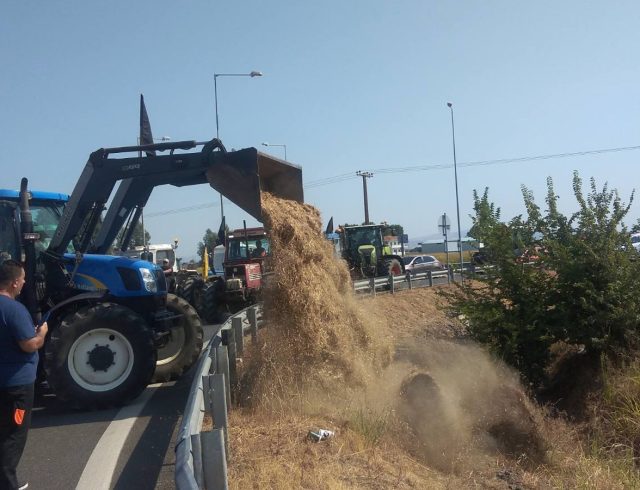 karditsa_e65_04