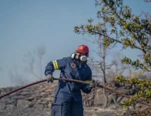 ΠΥΡΚΑΓΙΑ ΣΤΗ ΜΟΡΙΑ ΛΕΣΒΟΥ (ΠΑΝΑΓΙΩΤΗΣ ΜΠΑΛΑΣΚΑΣ/EUROKINISSI)