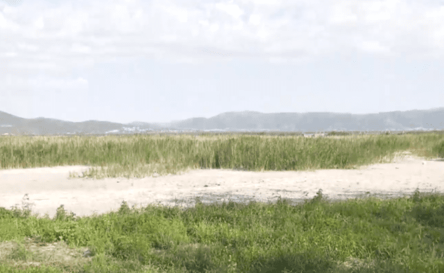 li-e1722840872759-768×394