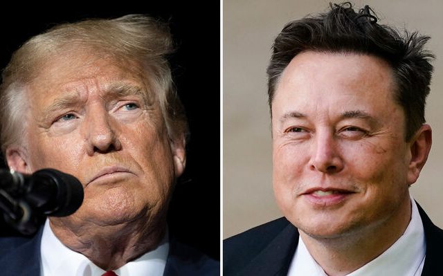 trump_musk