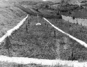 10.17.-17-Oktovriou-1941-871CH460