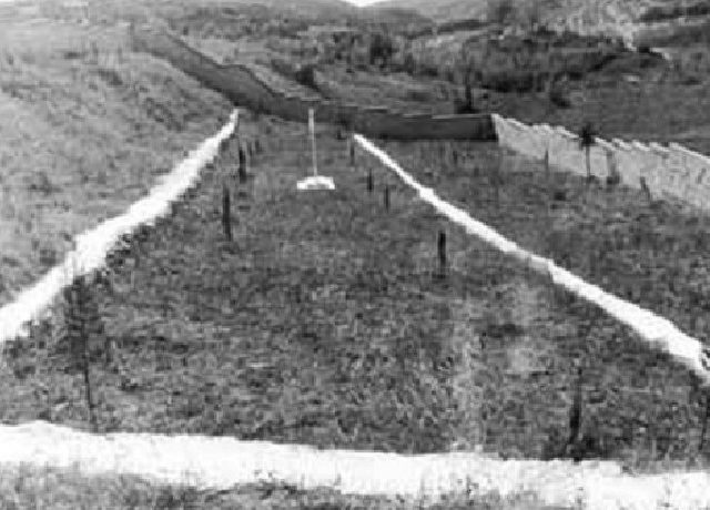 10.17.-17-Oktovriou-1941-871CH460