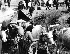 MIKRASIATIKH-KATASTROFH-715Χ460