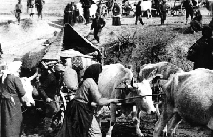 MIKRASIATIKH-KATASTROFH-715Χ460