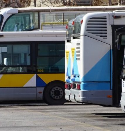OSY-5-800×450