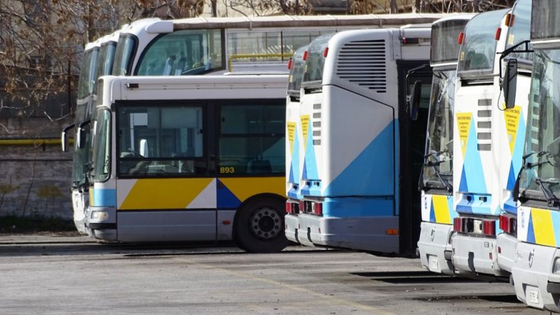 OSY-5-800×450