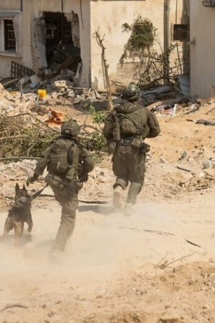 idf_gaza_new