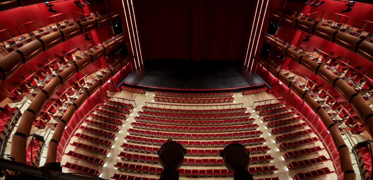 lyriki_skini