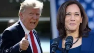 kamala-harris-trumb
