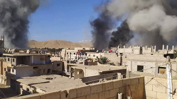 palmyra