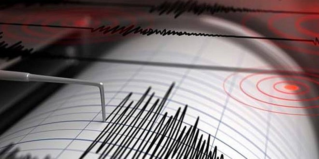 seismografos-seismos-1-252863-311122-252863-485286-type13262_252863_487123_type13262