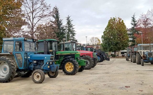 agrotes-karditses-02