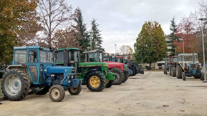 agrotes-karditses-02
